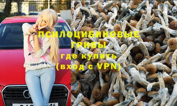 сатива Верхний Тагил