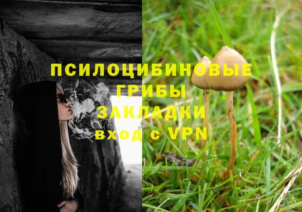 PSILOCYBIN Верея